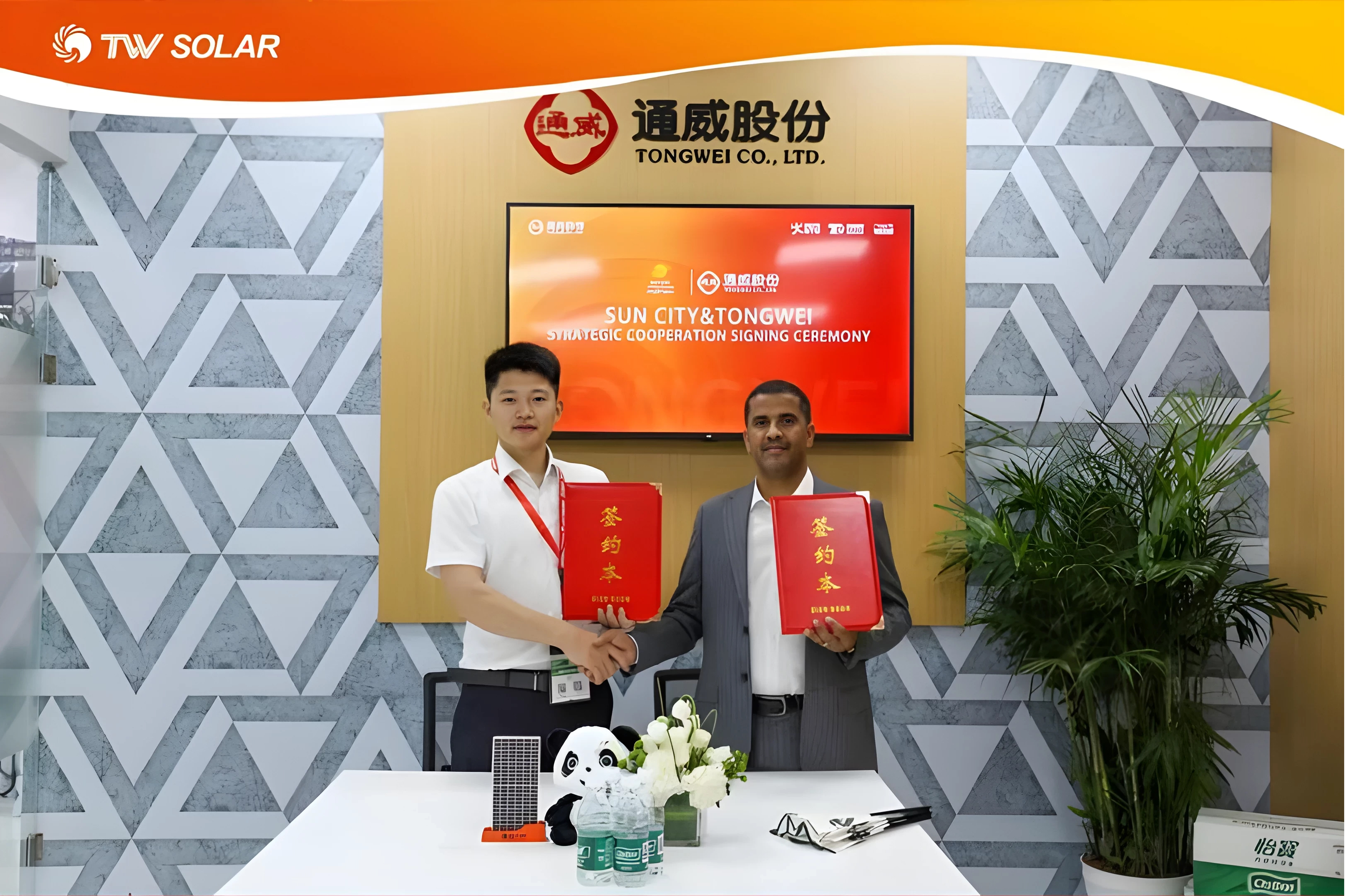 Tongwei Solar Company